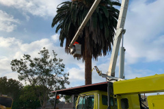 la-landscaping