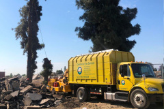 tree-removal-1