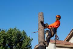 IMG_1928-1296x864