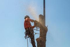 IMG_2202-1296x864