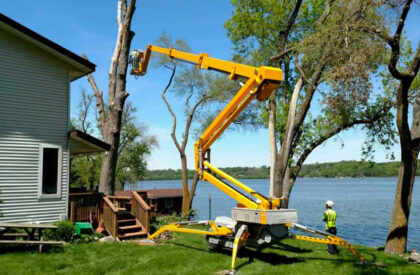 tree-removal-ca