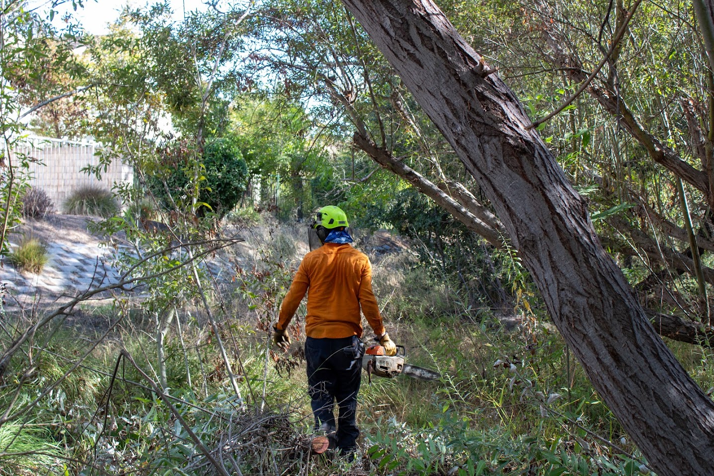 Brush Clearance and Fire Prevention | Los Angeles County Brush Clearance